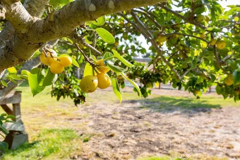 $2,199,900 | 225 Hacienda Avenue, San Luis Obispo, CA 93401