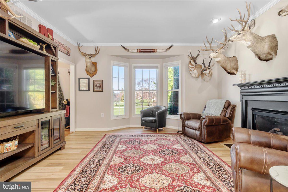 20376 Splendor View Terrace Hagerstown, MD 21740 - Photo 15 of 52 a living room with furniture a fireplace and a flat screen tv