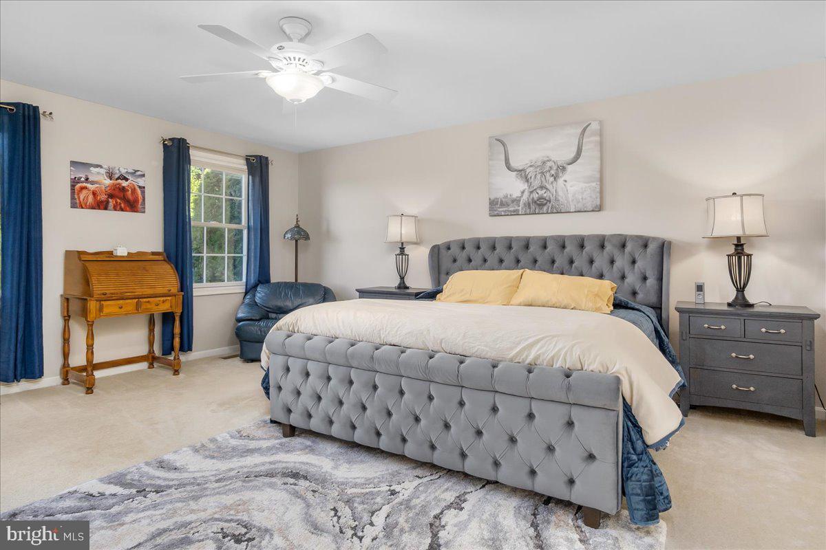 20376 Splendor View Terrace Hagerstown, MD 21740 - Photo 23 of 52