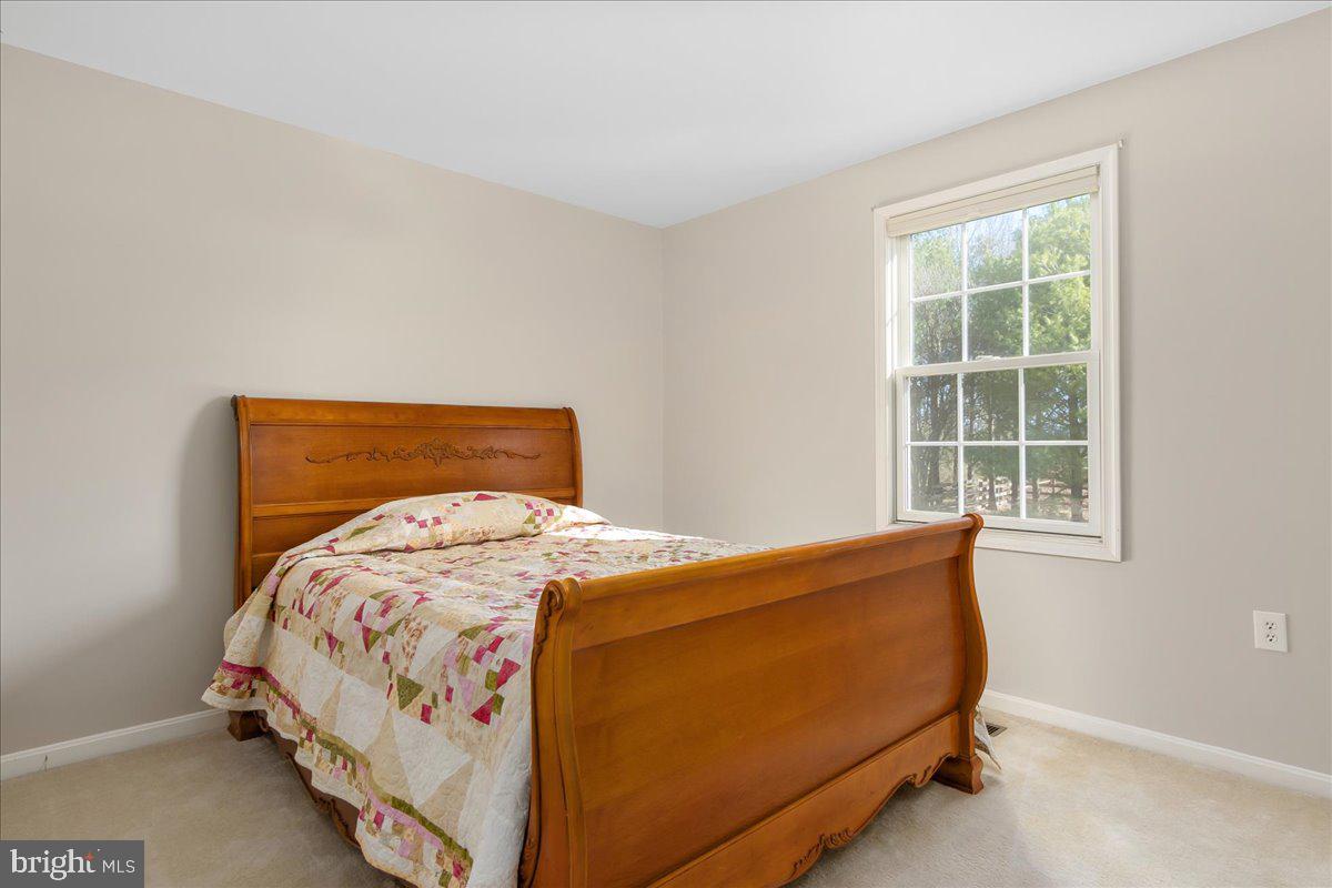 20376 Splendor View Terrace Hagerstown, MD 21740 - Photo 29 of 52 a bedroom with a bed and window