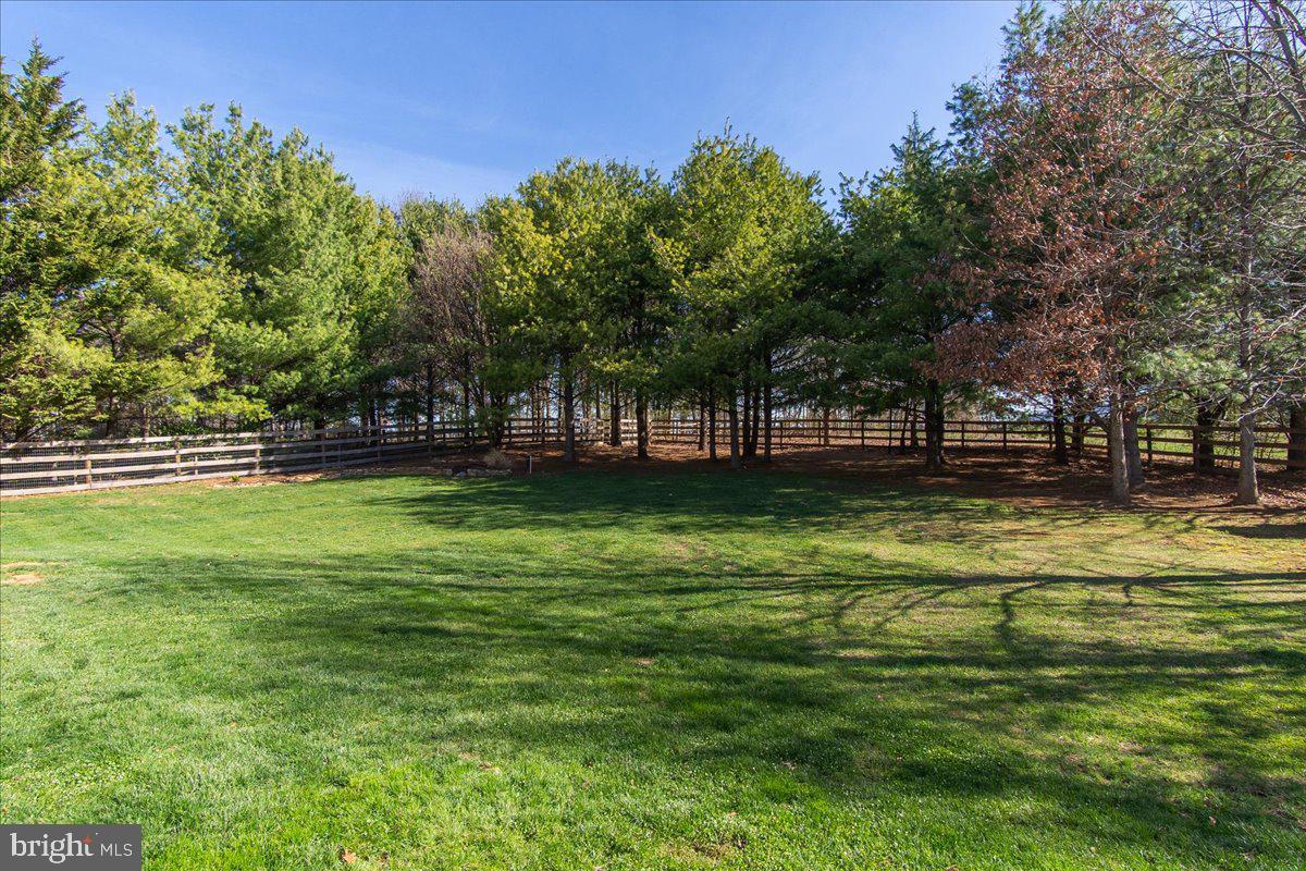 20376 Splendor View Terrace Hagerstown, MD 21740 - Photo 37 of 52