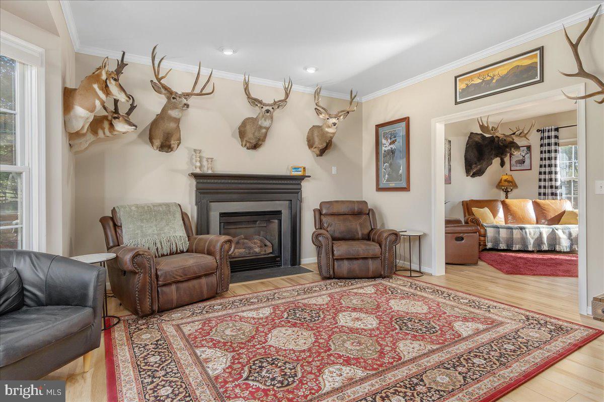 20376 Splendor View Terrace Hagerstown, MD 21740 - Photo 8 of 52 a living room with furniture and a fireplace