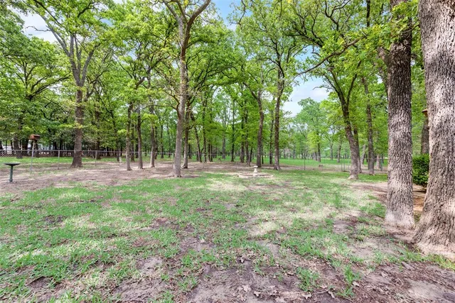 a view of outdoor space with trees all around