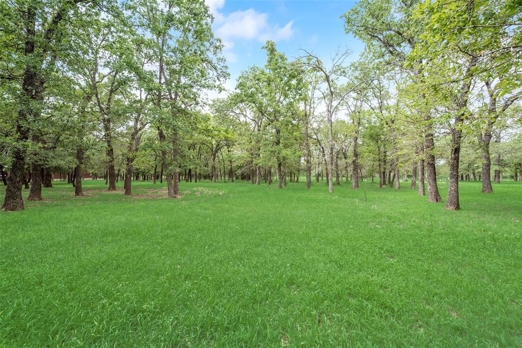 460 West J E Woody Road Springtown, TX 76082 - Photo 22 of 22 a view of green field