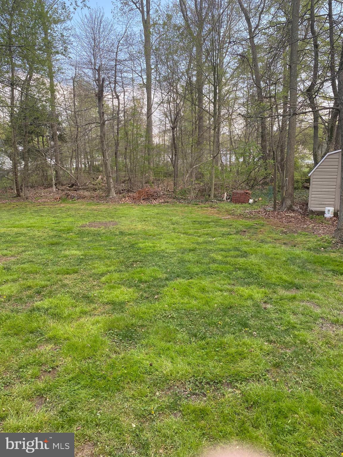 48 Bayview Road Chesapeake City, MD 21915 - Photo 4 of 17 Rear Yard