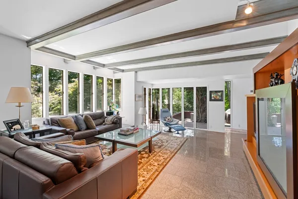 a living room with furniture a fireplace and a potted plant