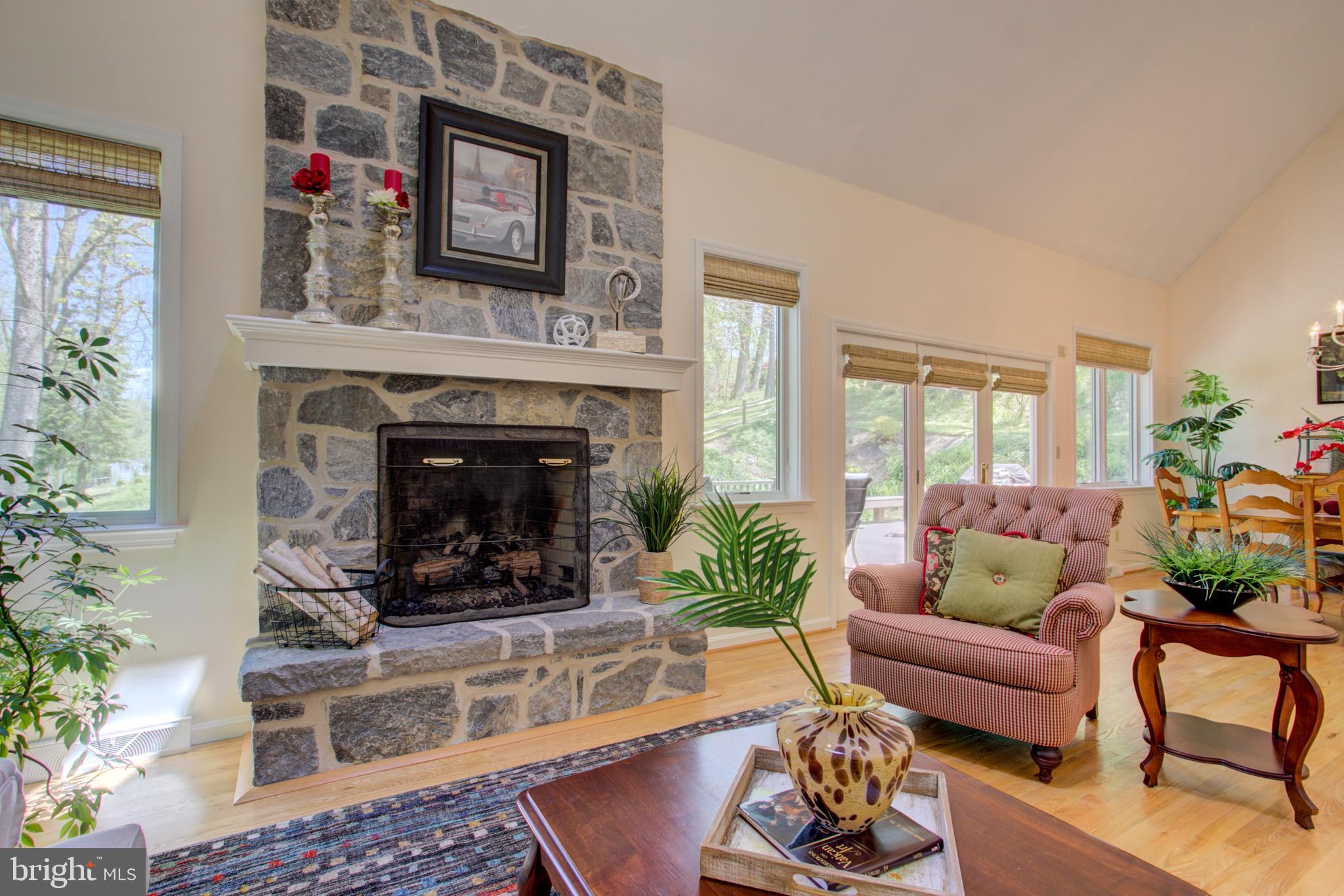 1558 Stone Mill Road Lancaster, PA 17603 - Photo 18 of 97 Gas Fireplace
