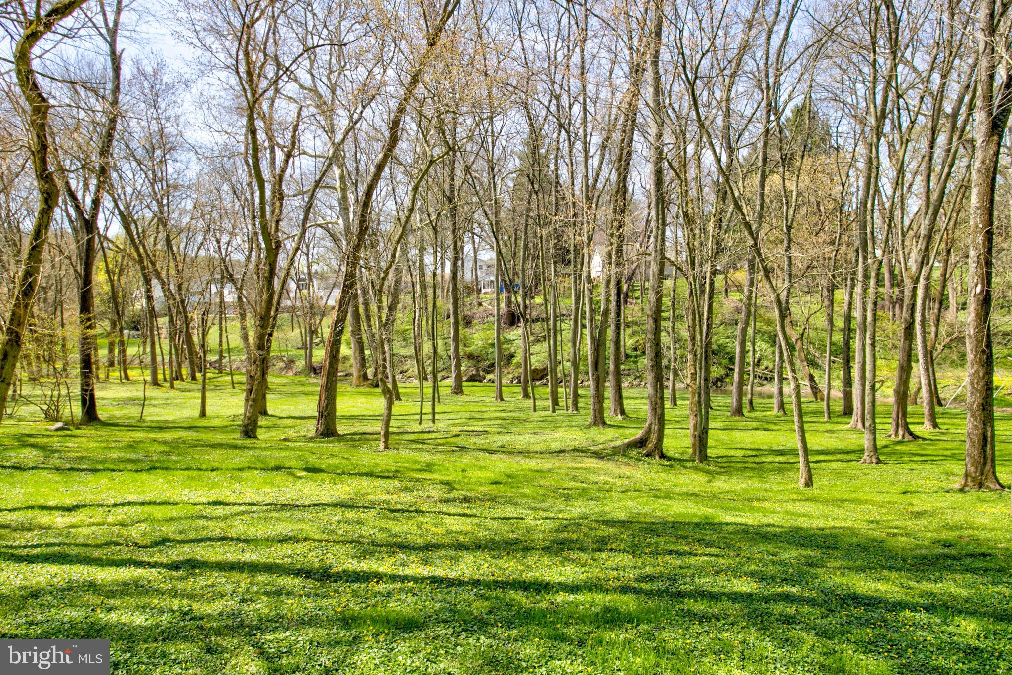 1558 Stone Mill Road Lancaster, PA 17603 - Photo 83 of 97 Gallery Image 83