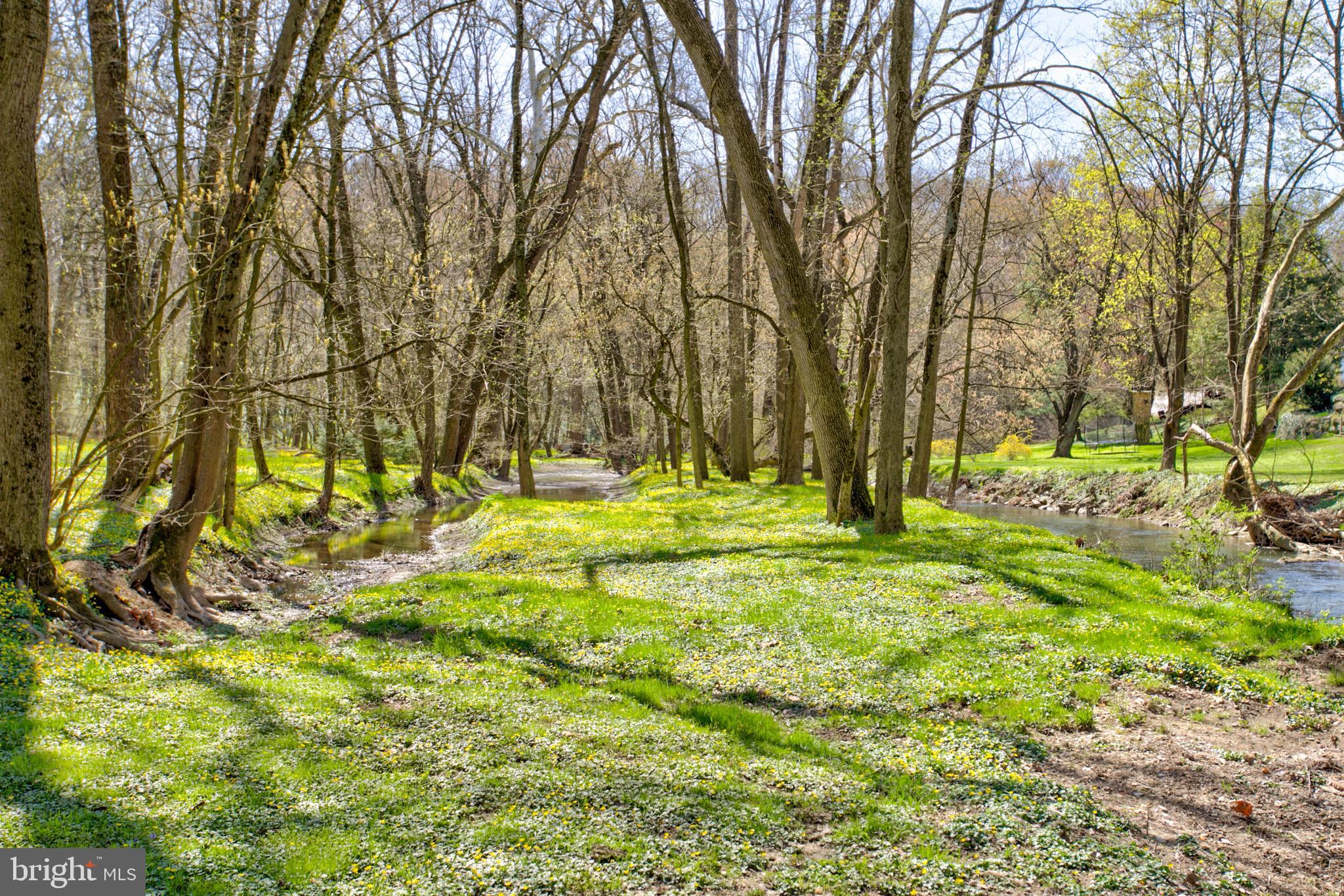 1558 Stone Mill Road Lancaster, PA 17603 - Photo 84 of 97 Gallery Image 84