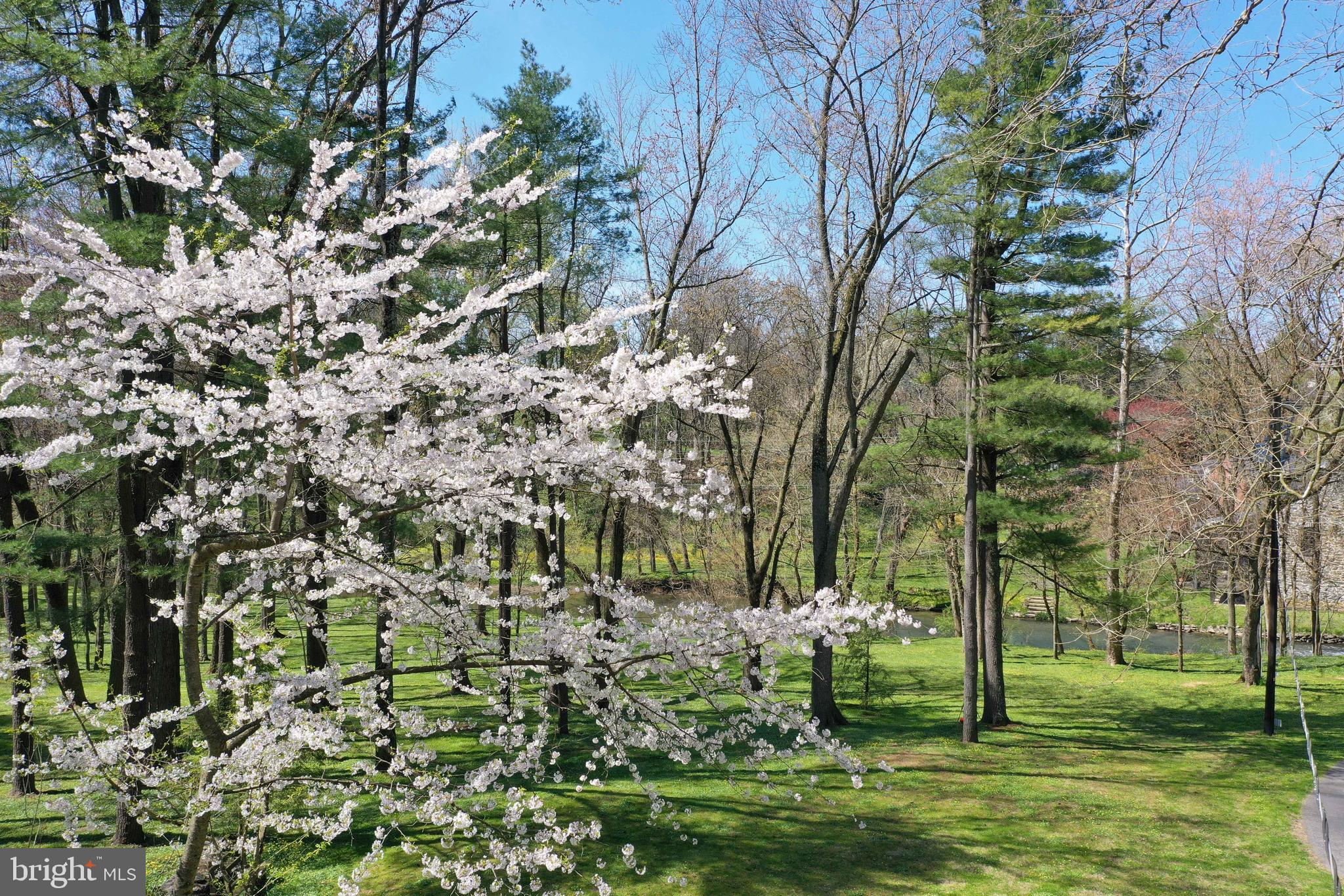 1558 Stone Mill Road Lancaster, PA 17603 - Photo 85 of 97 Gallery Image 85