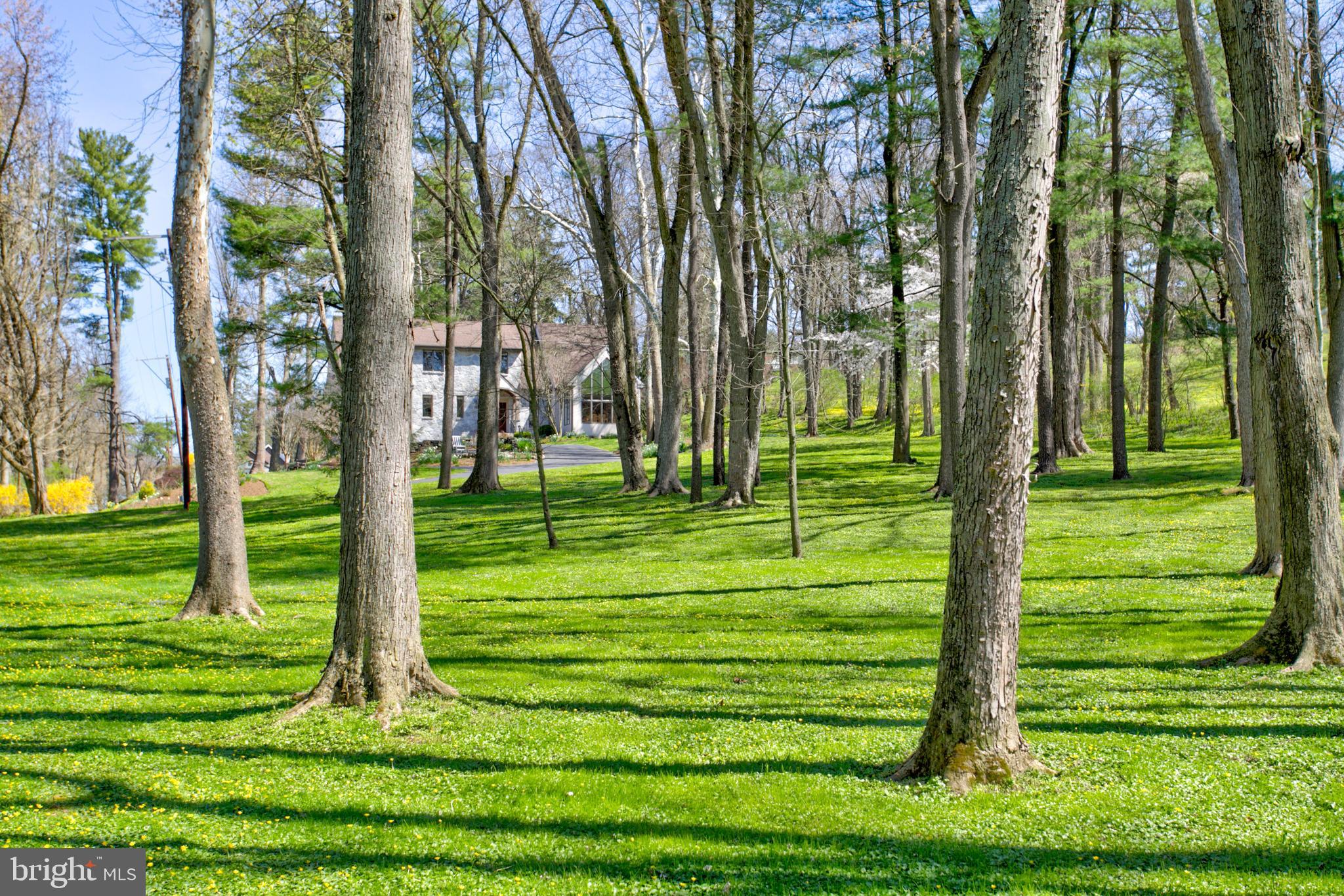 1558 Stone Mill Road Lancaster, PA 17603 - Photo 94 of 97 Gallery Image 94