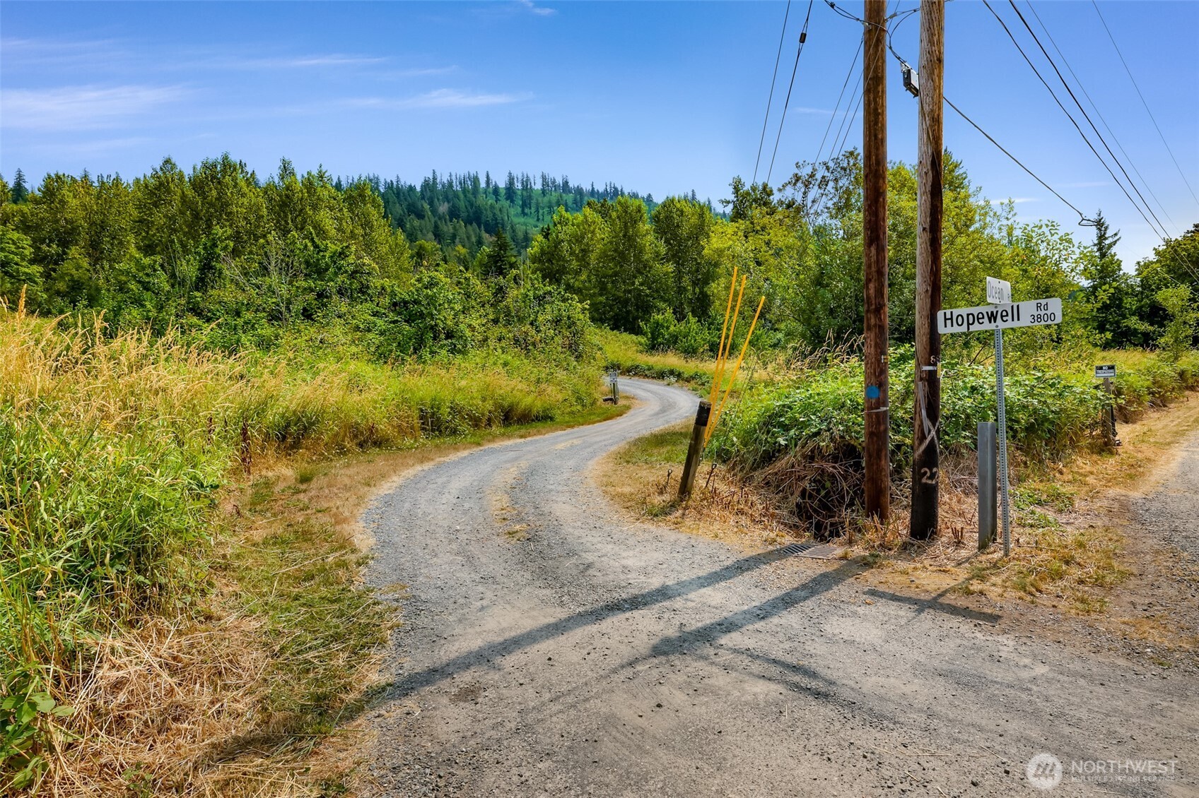 3900 Hopewell Road Everson, WA 98247 - Photo 1 of 31 a view of a yard with an tree
