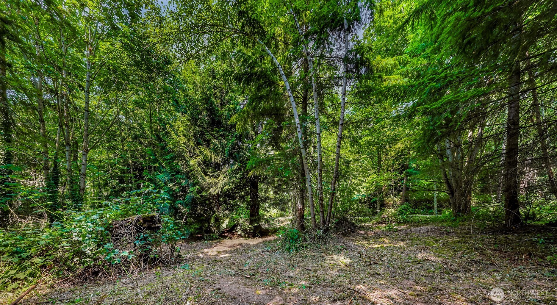 3900 Hopewell Road Everson, WA 98247 - Photo 12 of 31 a view of a forest with trees in the background