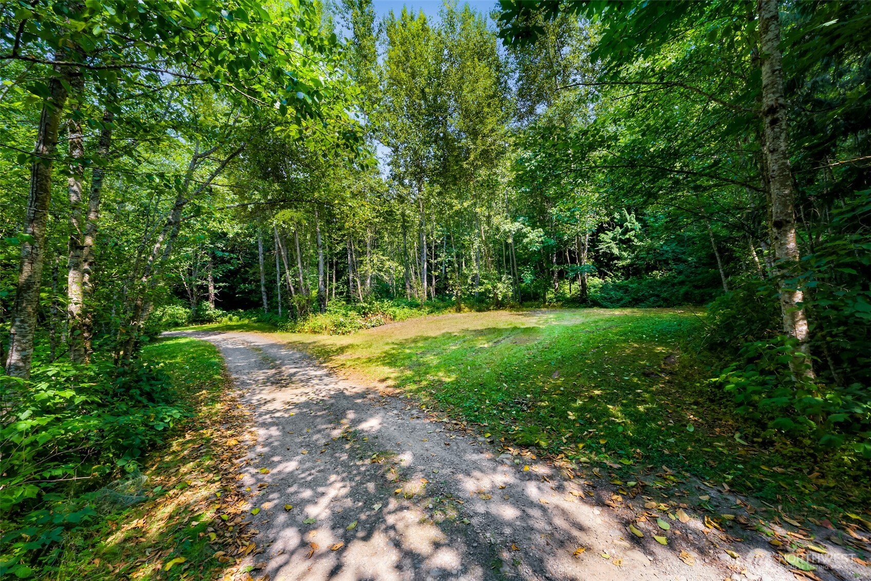 3900 Hopewell Road Everson, WA 98247 - Photo 18 of 31 a view of a trees with a yard