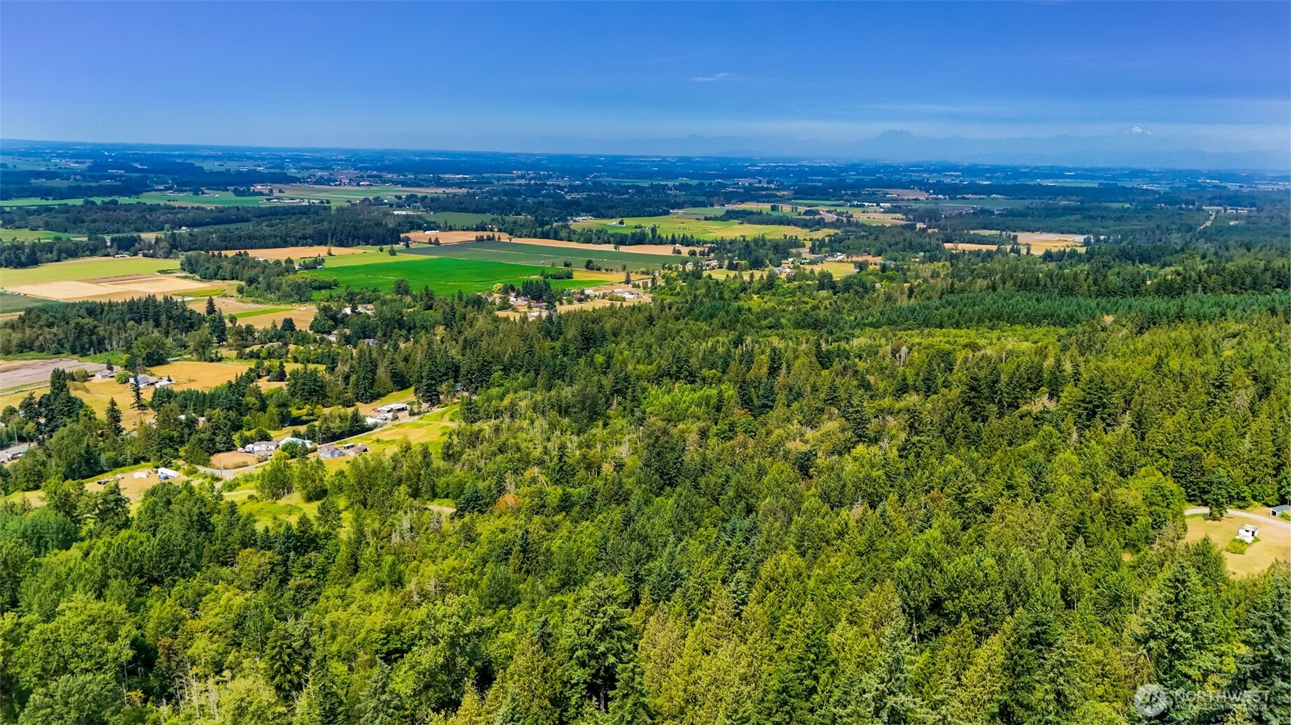 3900 Hopewell Road Everson, WA 98247 - Photo 20 of 31 a view of a city with lush green forest
