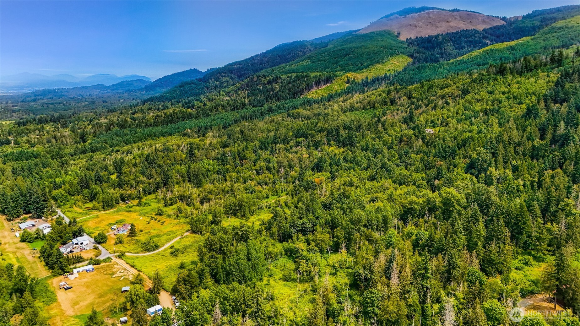 3900 Hopewell Road Everson, WA 98247 - Photo 24 of 31 a view of a lush green forest with a house