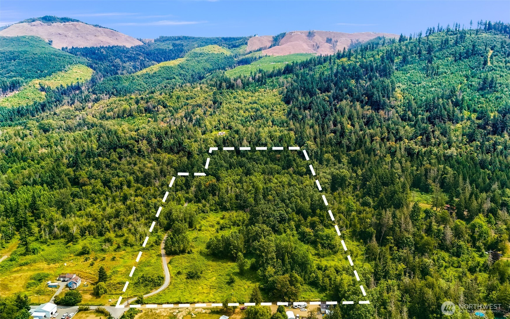 3900 Hopewell Road Everson, WA 98247 - Photo 26 of 31 a view of a lush green field with a tree in the background