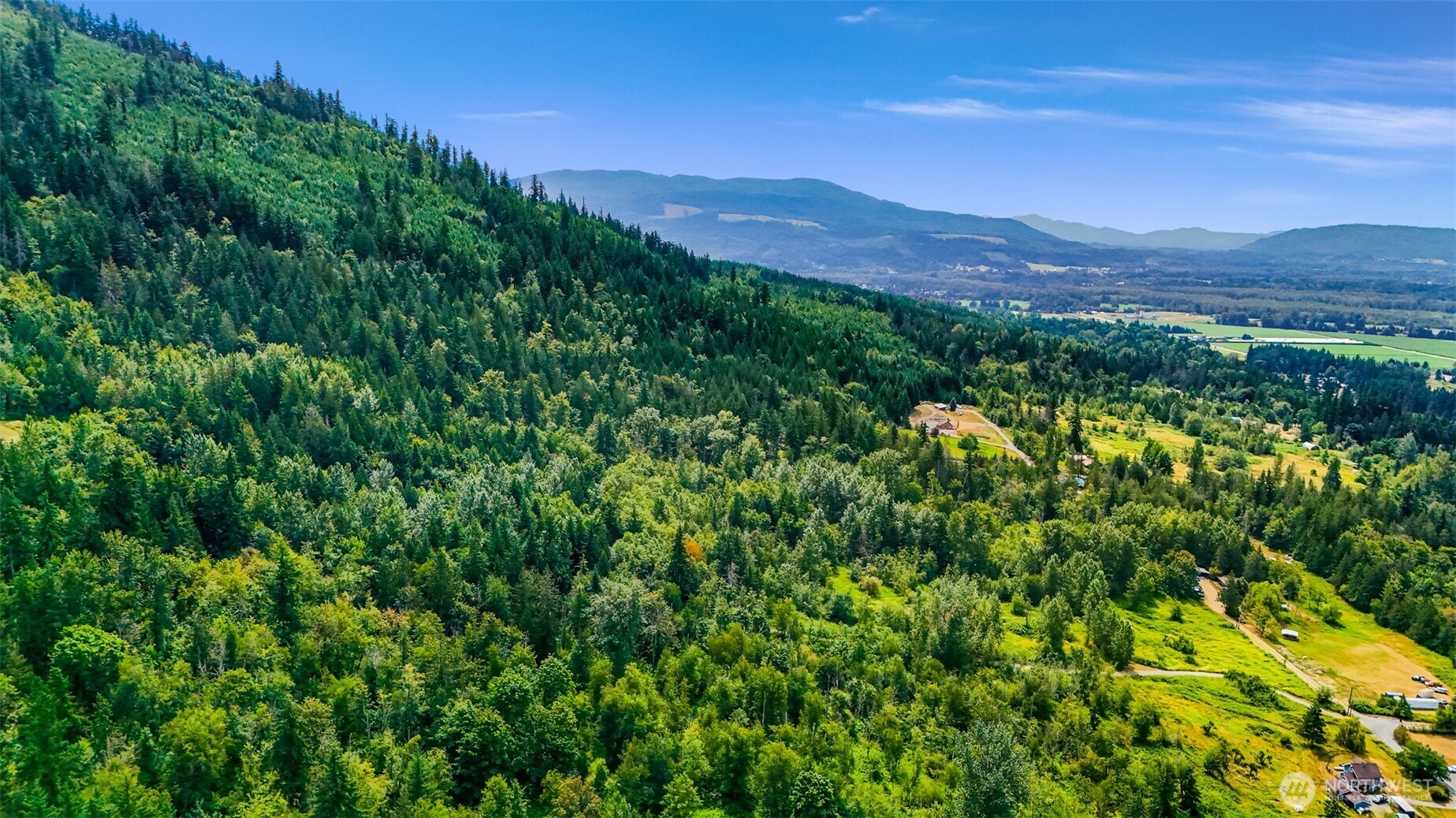 3900 Hopewell Road Everson, WA 98247 - Photo 29 of 31 a view of a lush green hillside and a mountain view