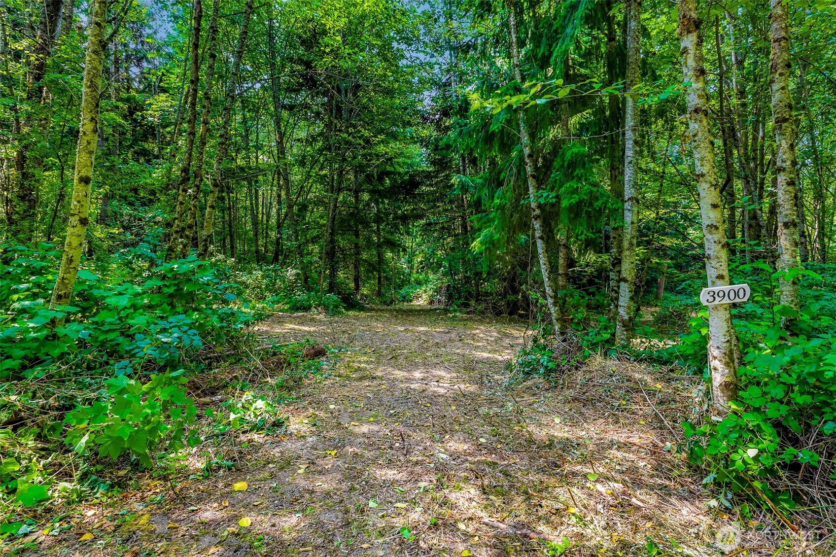 3900 Hopewell Road Everson, WA 98247 - Photo 4 of 31 a view of outdoor space and garden