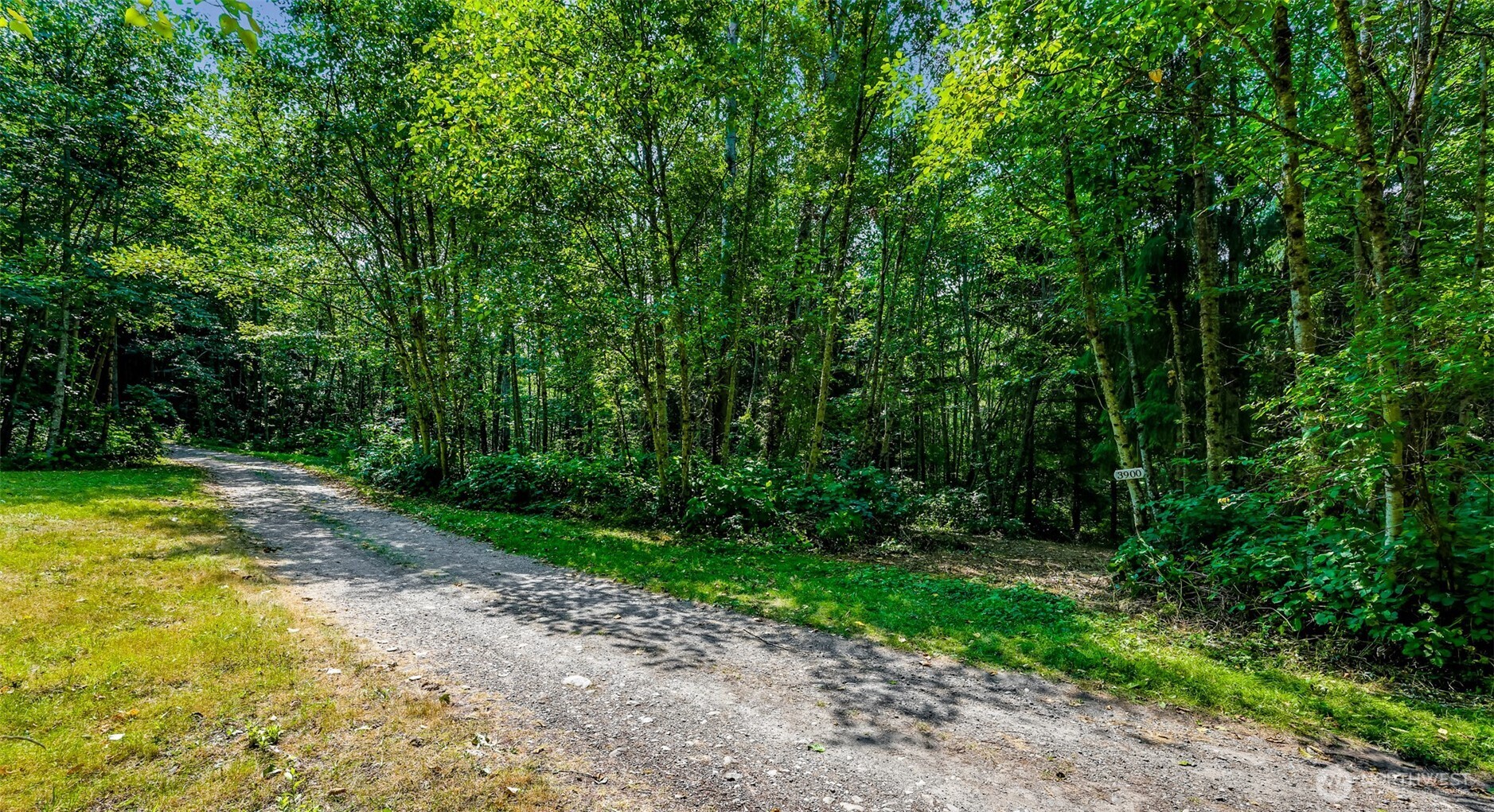 3900 Hopewell Road Everson, WA 98247 - Photo 6 of 31 a view of a yard with plants and large trees