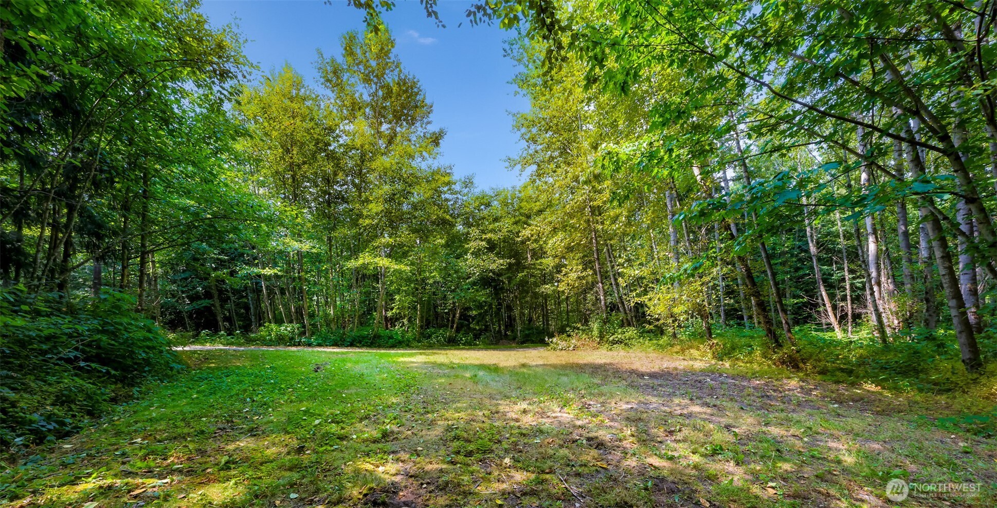 3900 Hopewell Road Everson, WA 98247 - Photo 7 of 31 a view of outdoor space