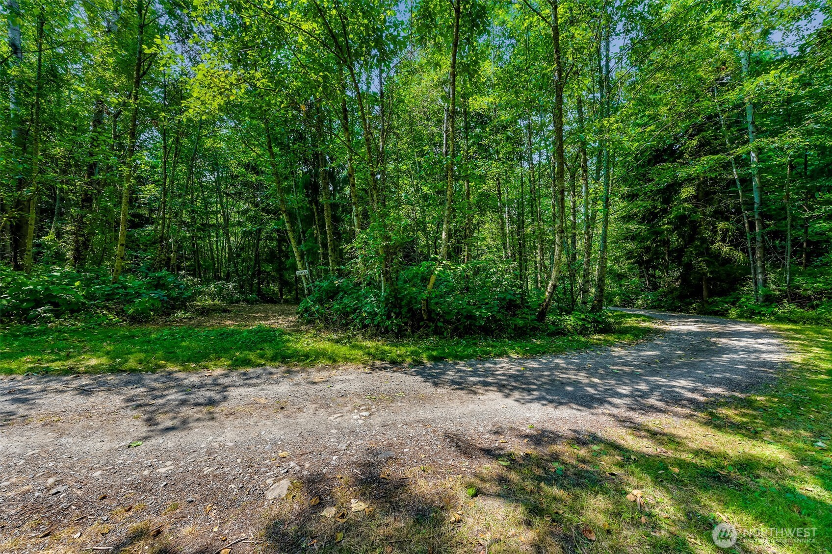 3900 Hopewell Road Everson, WA 98247 - Photo 8 of 31 a view of backyard with green space
