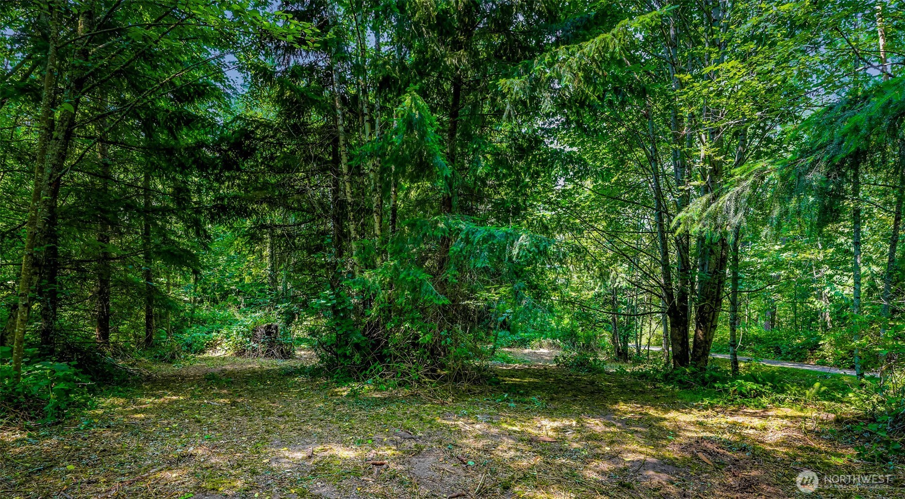 3900 Hopewell Road Everson, WA 98247 - Photo 10 of 31 a big yard with lots of green space and trees