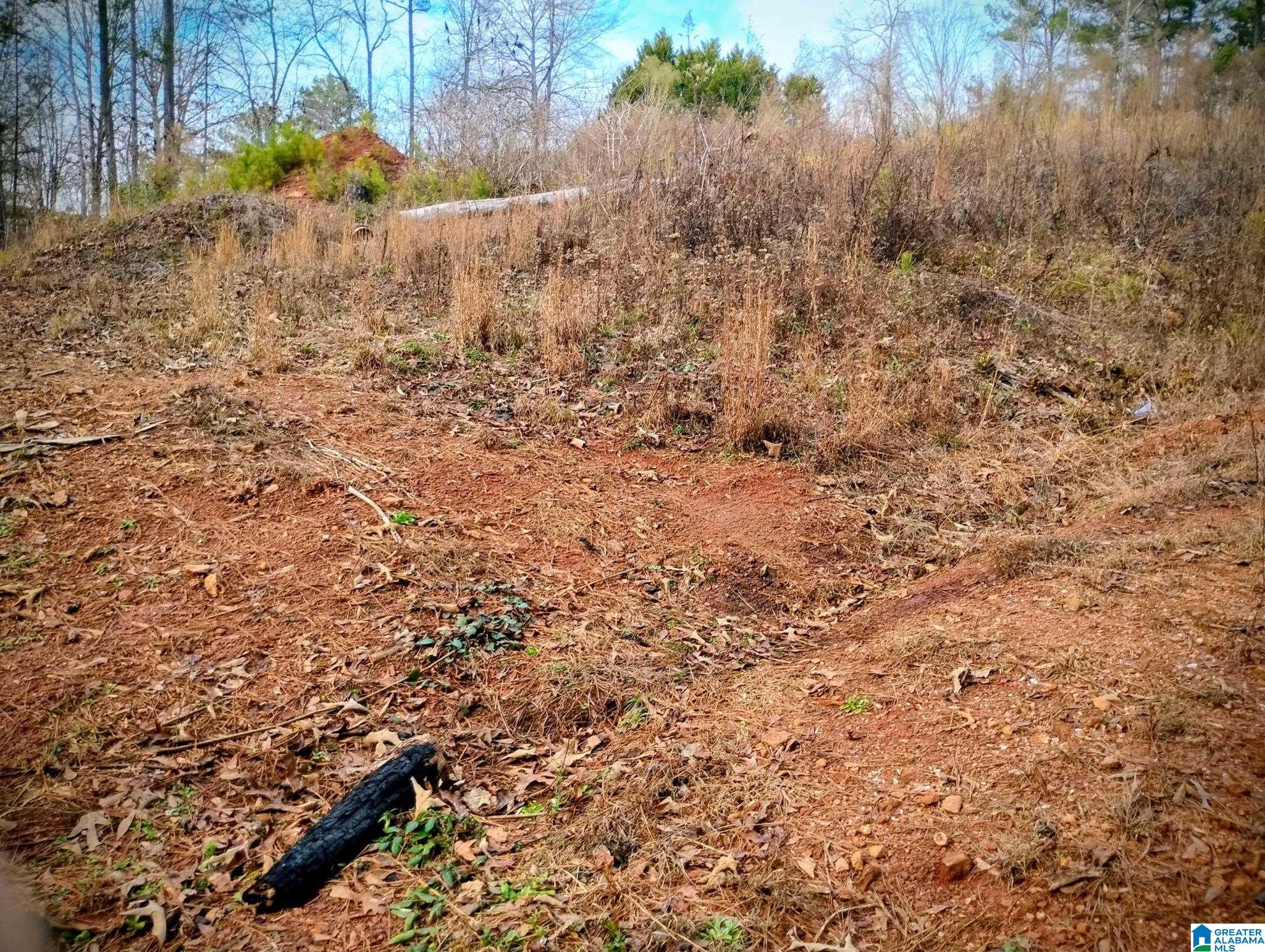 Foster Circle Lineville, AL 36266 - Photo 1 of 14