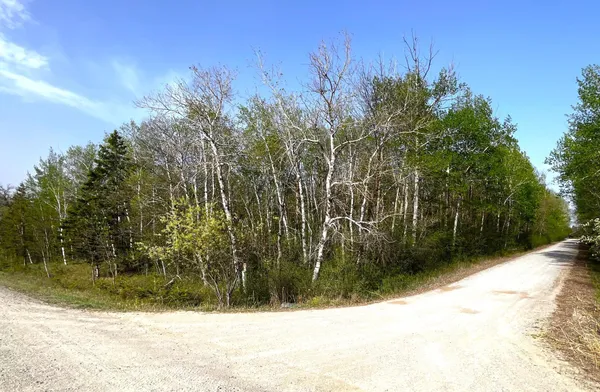 $55,000 | Tbd 585th Avenue, Warroad, MN 56763