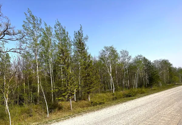 $55,000 | Tbd 585th Avenue, Warroad, MN 56763