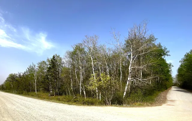 $55,000 | Tbd 585th Avenue, Warroad, MN 56763