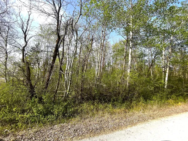 $55,000 | Tbd 585th Avenue, Warroad, MN 56763