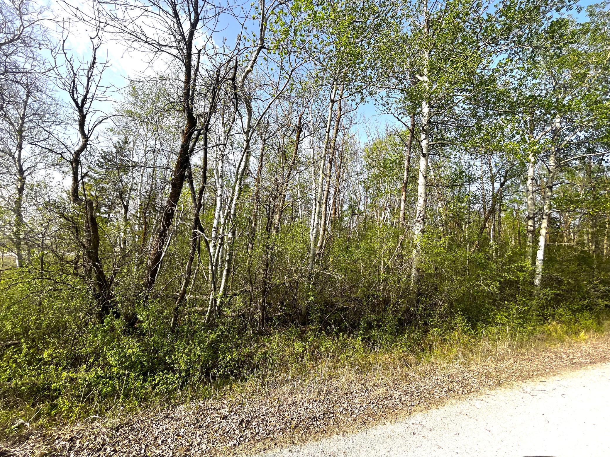 Tbd 585th Avenue Warroad, MN 56763 - Photo 5 of 11