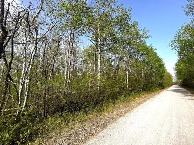 $55,000 | Tbd 585th Avenue, Warroad, MN 56763