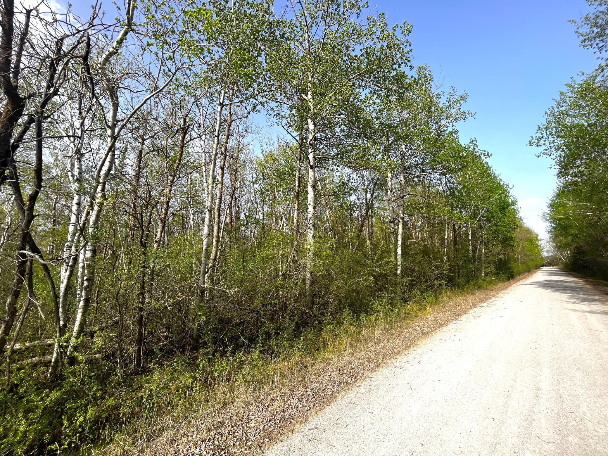 Tbd 585th Avenue Warroad, MN 56763 - Photo 6 of 11