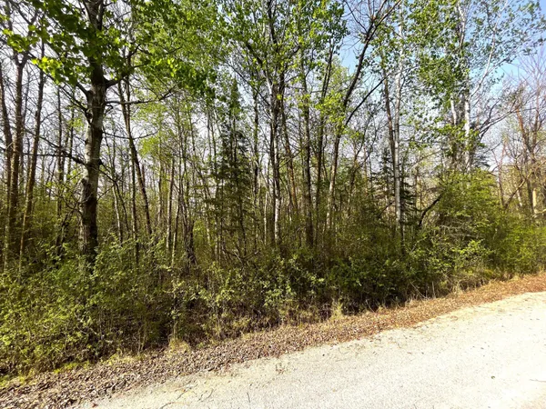 $55,000 | Tbd 585th Avenue, Warroad, MN 56763