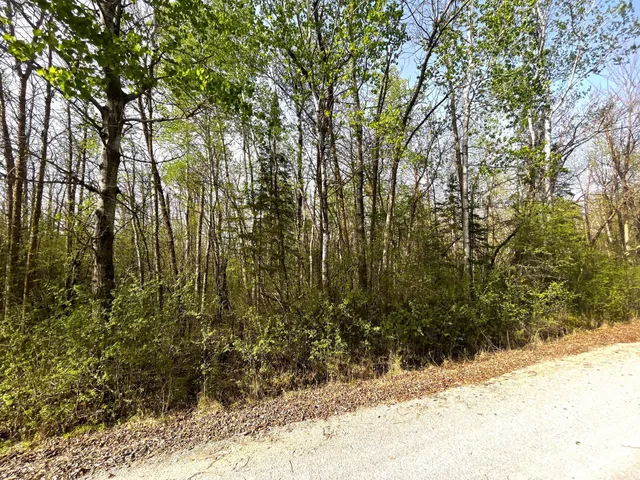 $55,000 | Tbd 585th Avenue, Warroad, MN 56763