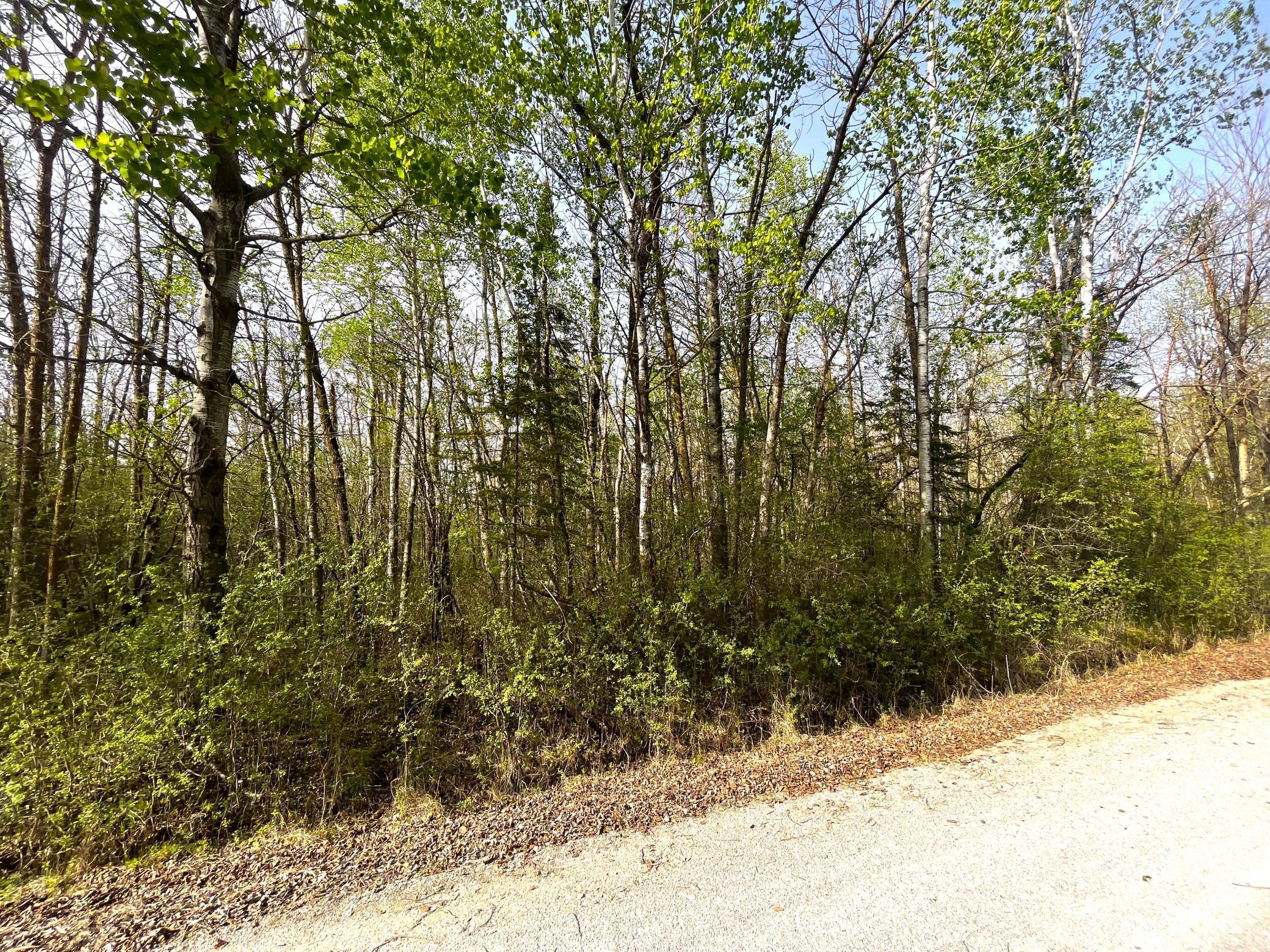 Tbd 585th Avenue Warroad, MN 56763 - Photo 7 of 11