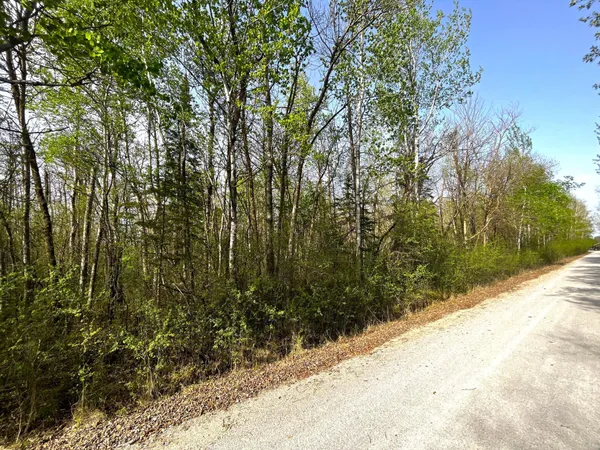 $55,000 | Tbd 585th Avenue, Warroad, MN 56763