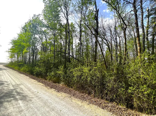 $55,000 | Tbd 585th Avenue, Warroad, MN 56763