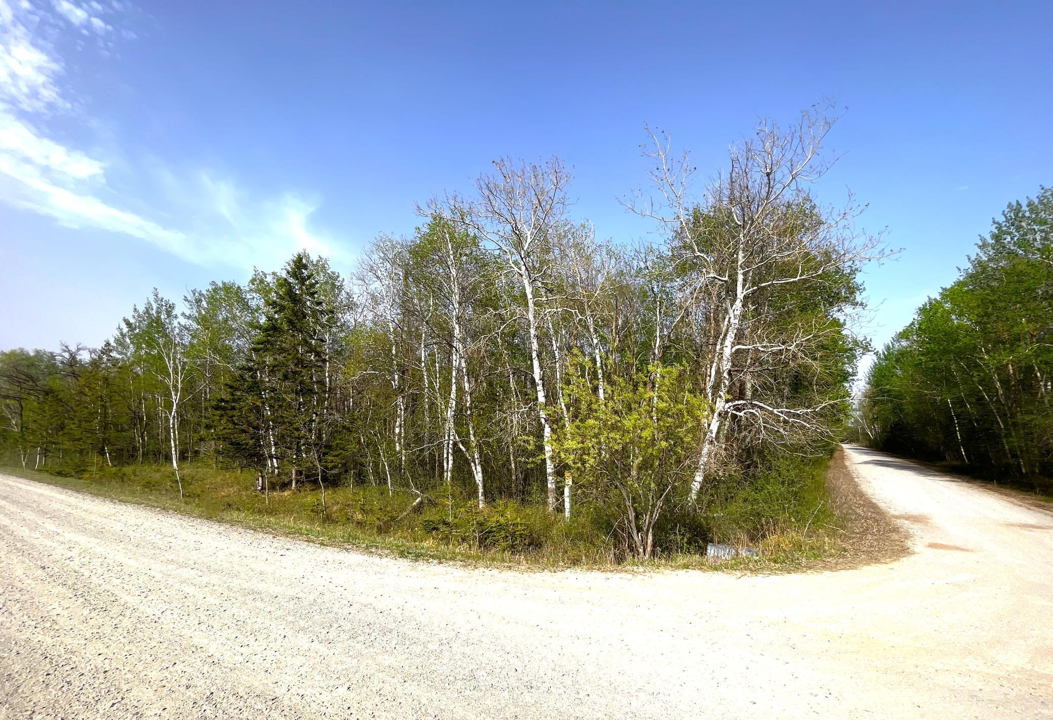 Tbd 585th Avenue Warroad, MN 56763 - Photo 10 of 11