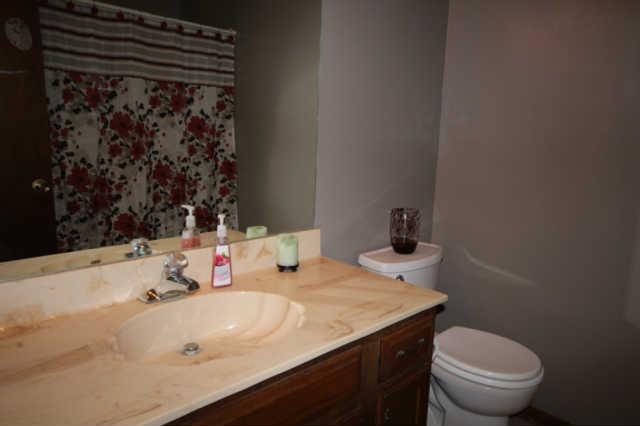 7213 Crow Cut Road Fairview, TN 37062 - Photo 16 of 20 The hall bathroom with bath/shower combo.
