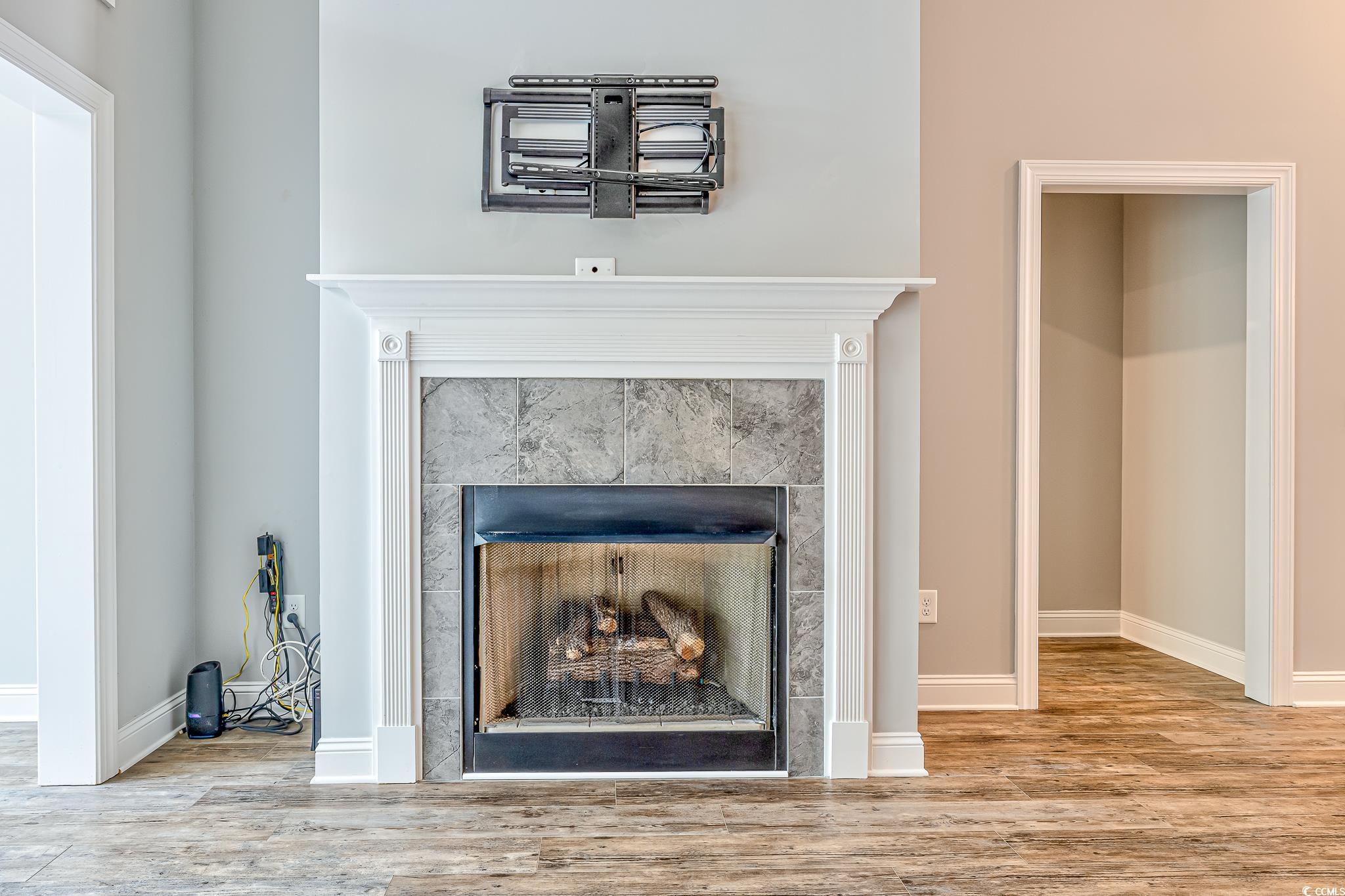 648 Sunnyside Drive, Unit 102 Murrells Inlet, SC 29576 - Photo 3 of 21 Detailed view of a fireplace, wood finished floors, and baseboards