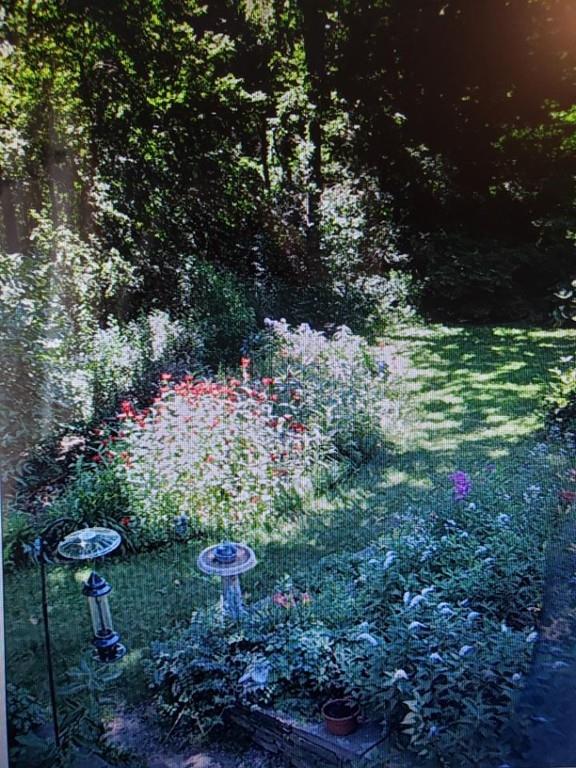 250 Old Littleton Road Harvard, MA 01451 - Photo 34 of 35 a view of a garden with plants
