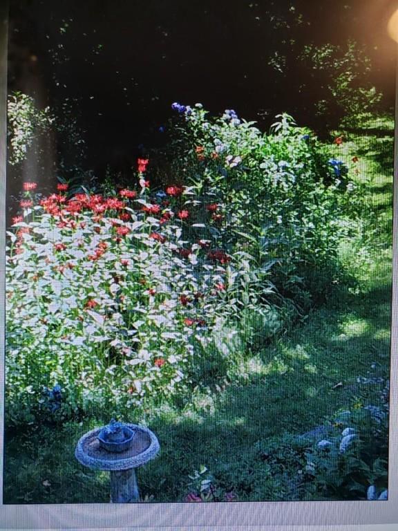 250 Old Littleton Road Harvard, MA 01451 - Photo 35 of 35 a view of a backyard of a house with a fountain