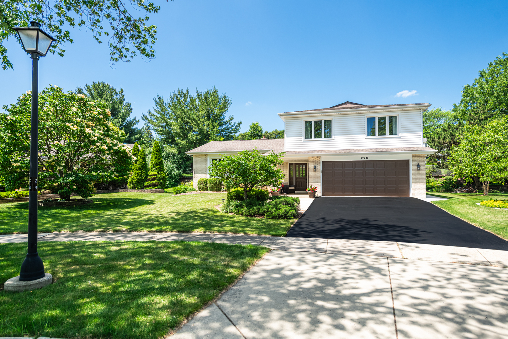 220 North Haddon Place Addison, IL 60101 - Photo 1 of 62 Gallery Image 1