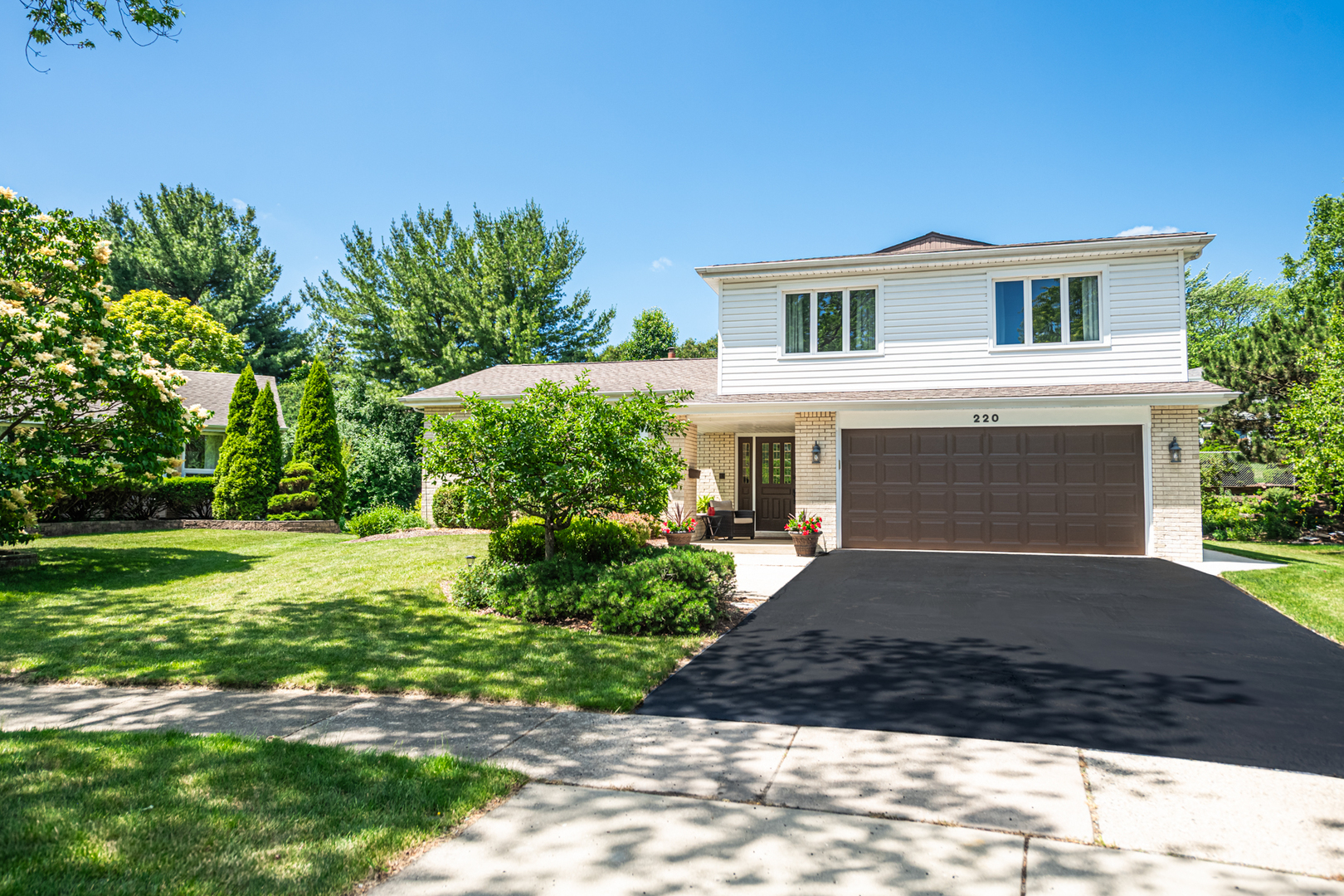 220 North Haddon Place Addison, IL 60101 - Photo 2 of 62 Gallery Image 2
