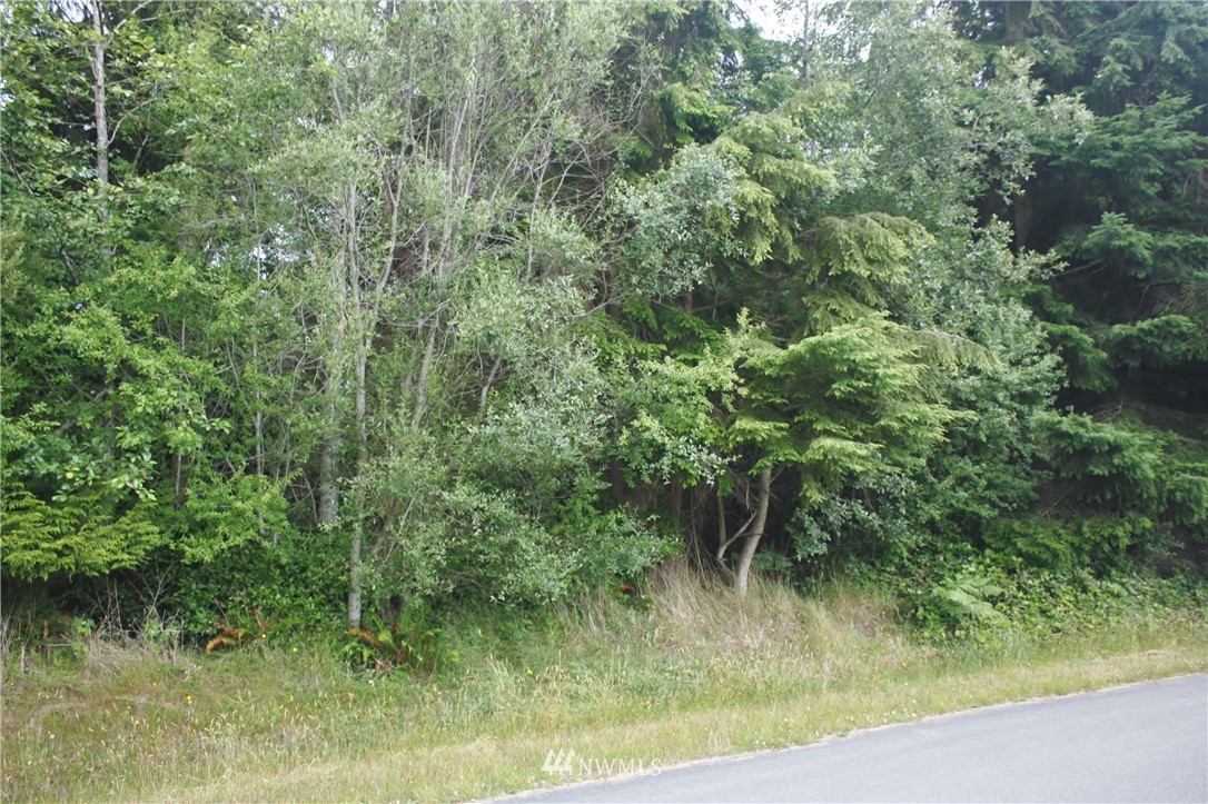 7-8 Sycamore Road Coupeville, WA 98239 - Photo 1 of 10 Gallery Image 1