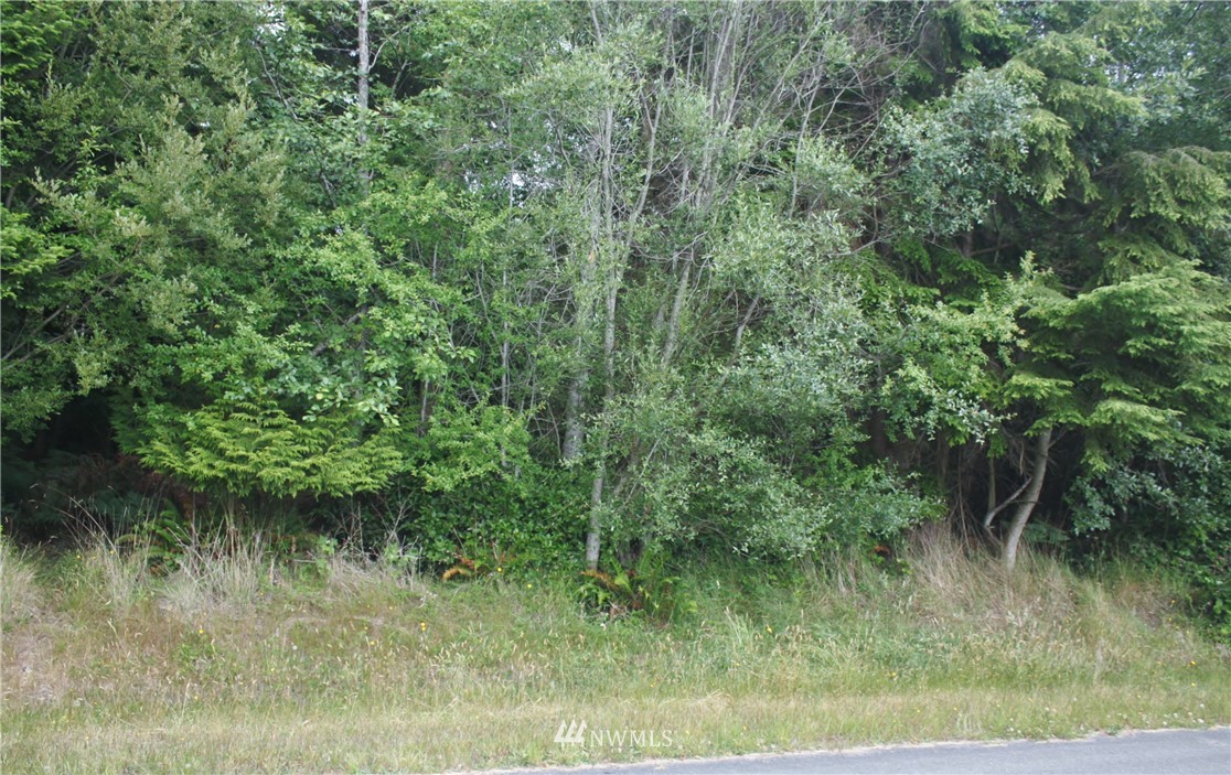 7-8 Sycamore Road Coupeville, WA 98239 - Photo 2 of 10 Gallery Image 2
