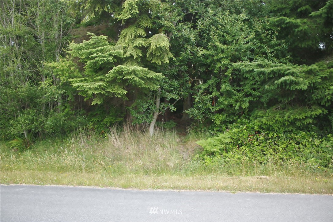 7-8 Sycamore Road Coupeville, WA 98239 - Photo 3 of 10 Gallery Image 3